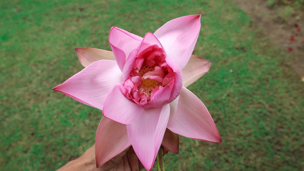 3 - 2026-02-10T135914.301