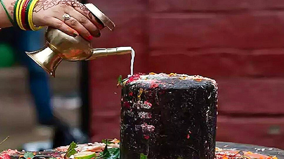 1 - 2026-02-11T135700.535