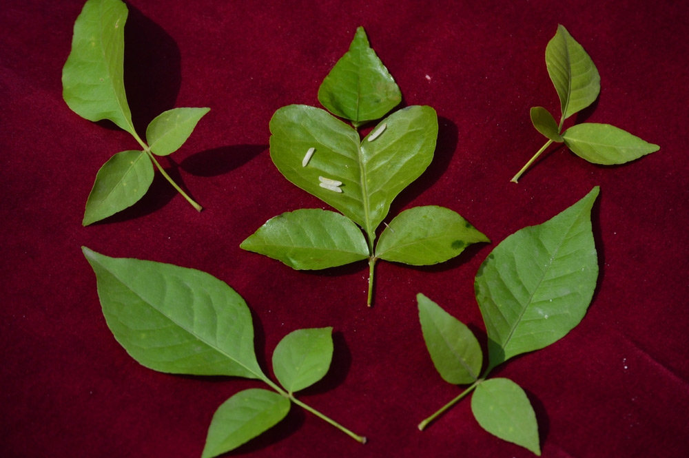 1 - 2026-02-11T135940.561