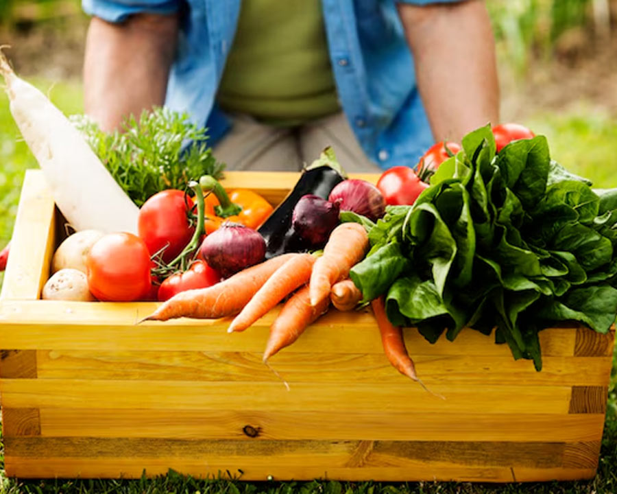 2 - 2026-02-11T144959.032