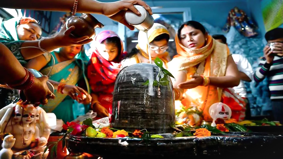 3 - 2026-02-11T135659.142