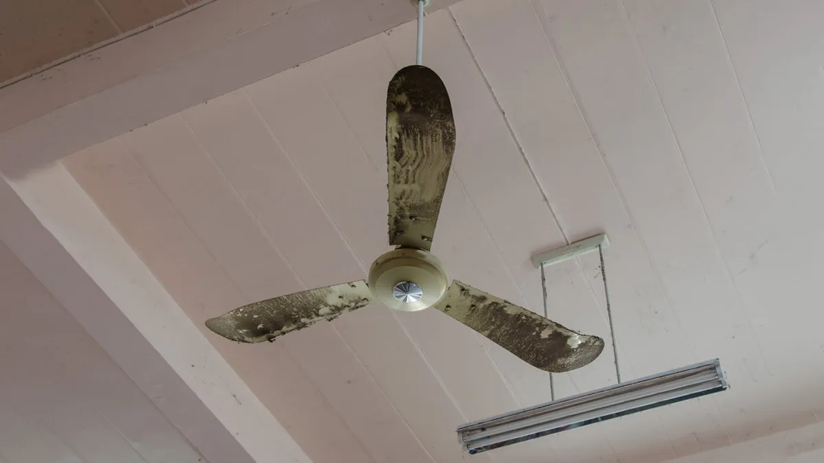 ceiling fan cleaning tip