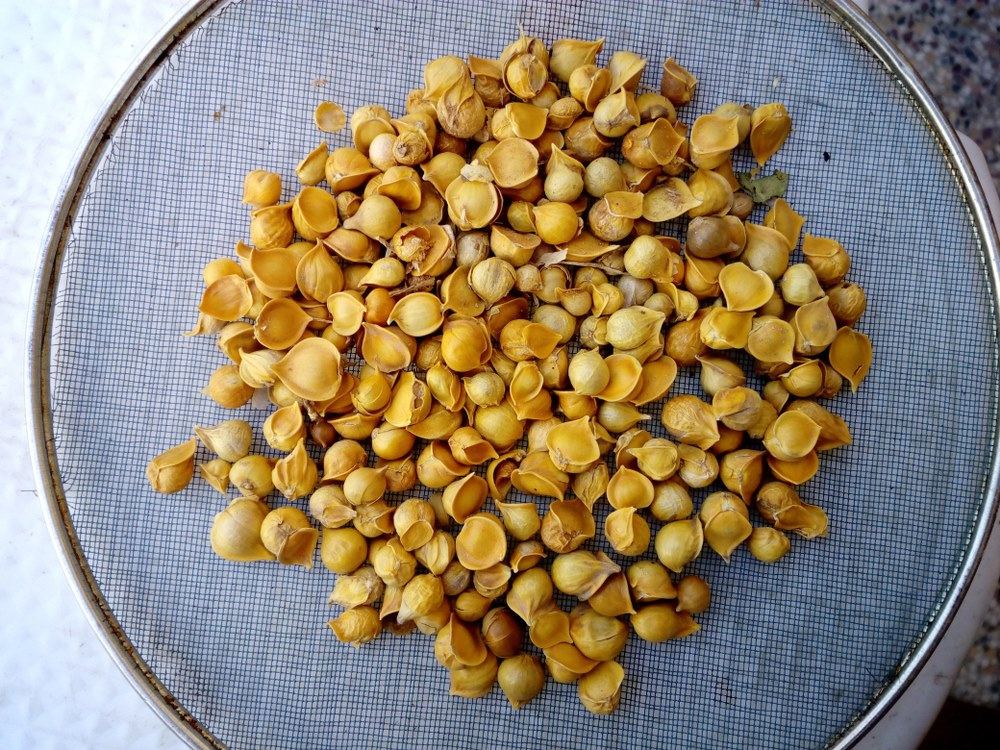 garlic benefits to control cholesterol