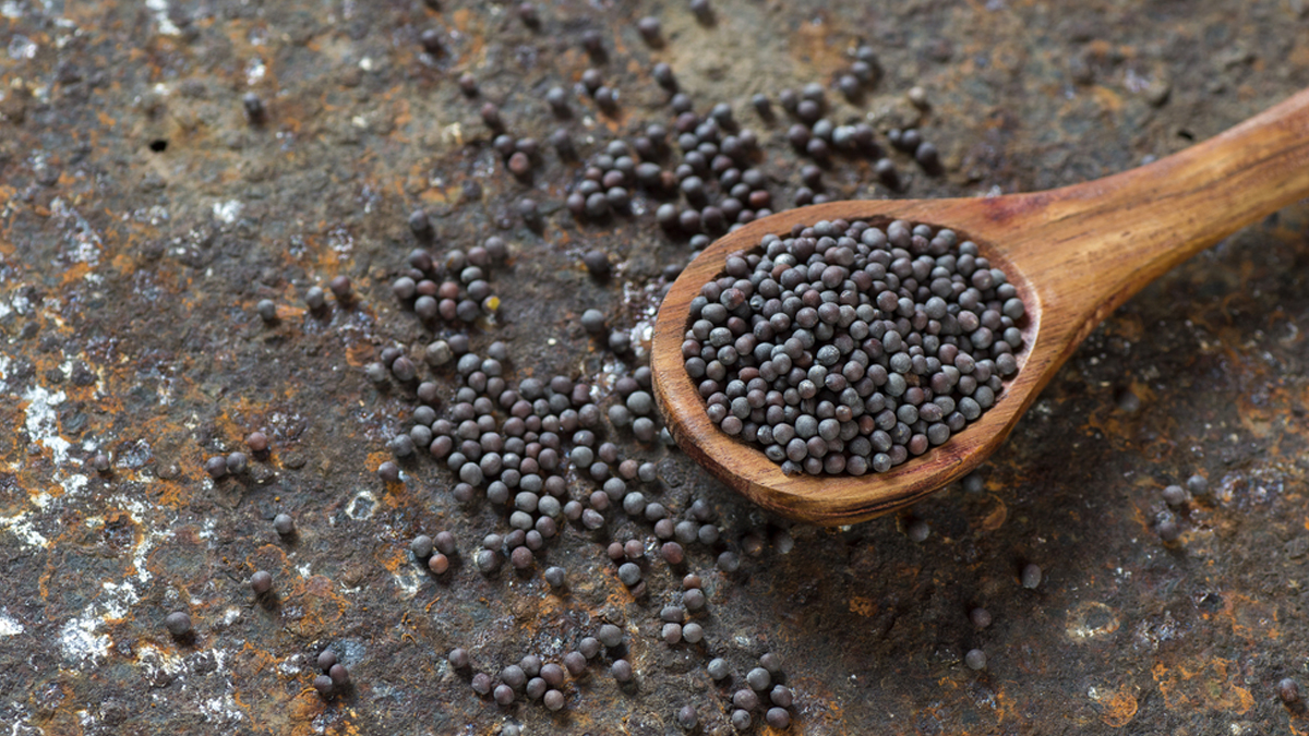Black Mustard Seeds