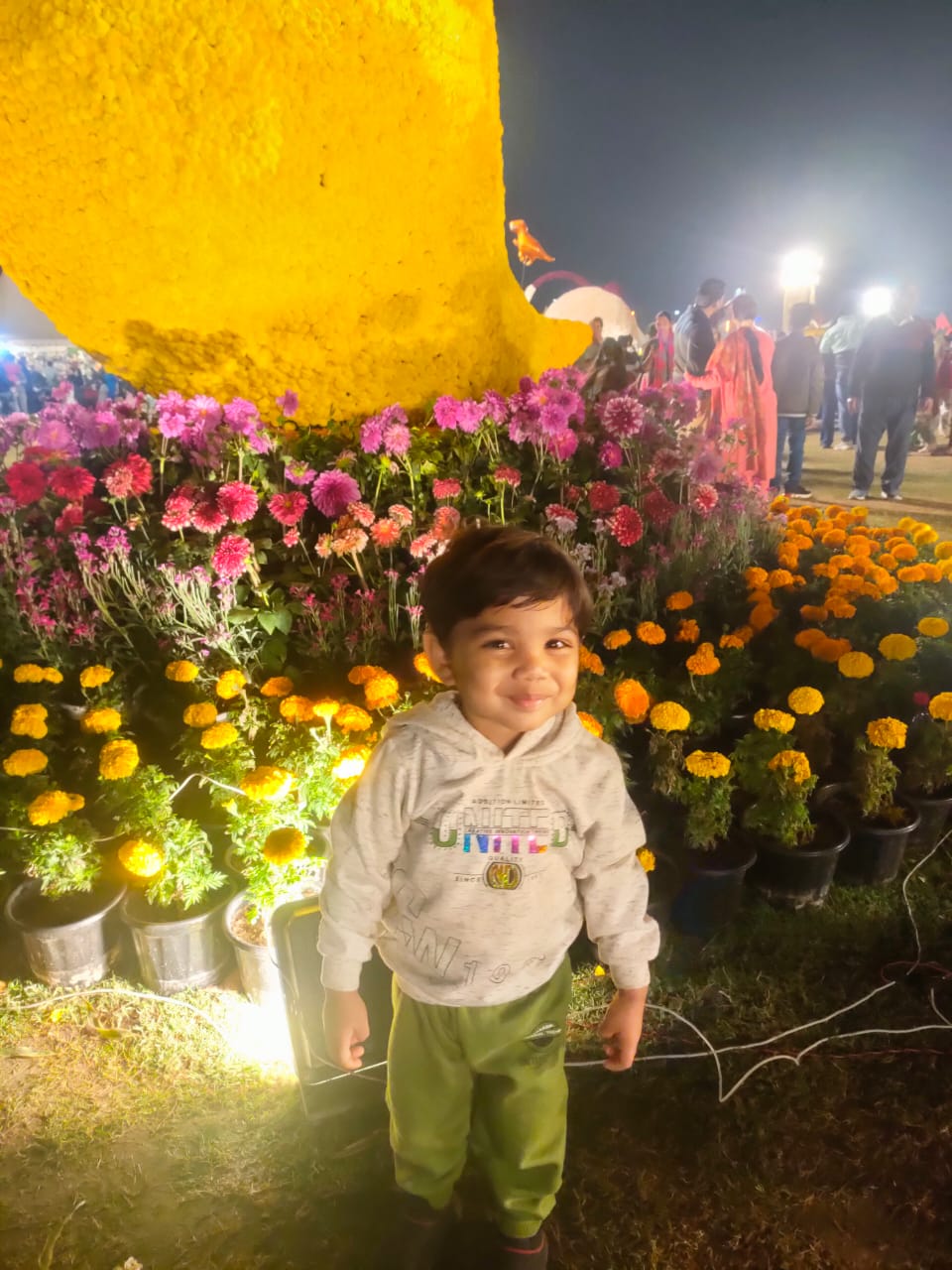 How to reach Noida flower festival by metro