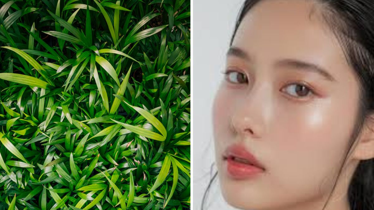 korean glass skin (5)