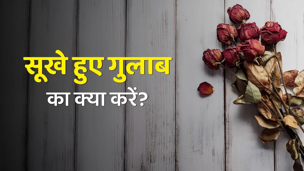 what to do with dried flowers from boyfriend and girlfriend