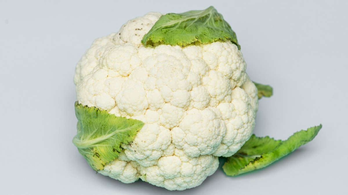 2 - 2026-02-16T114555.710