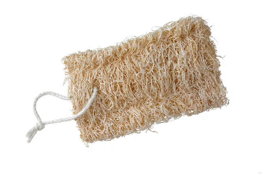 2 - 2026-02-17T131046.233