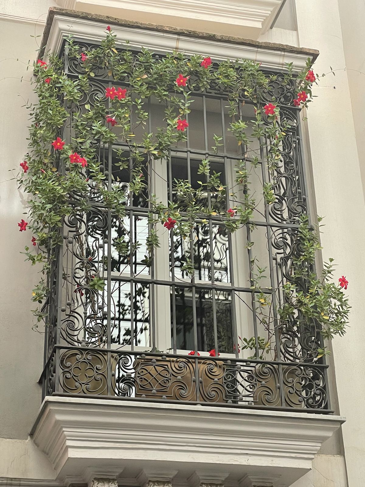 balcony garden ideas small spaces