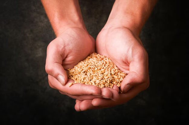 donate grains