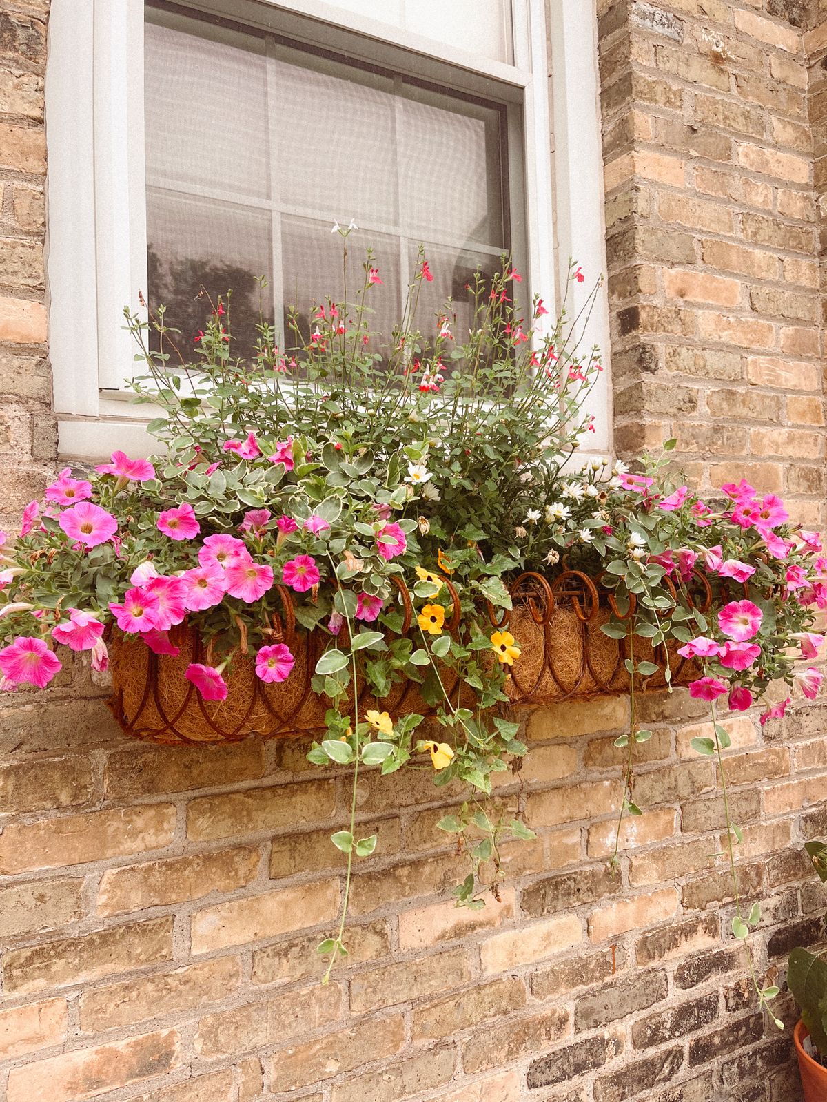 railing garden tricks