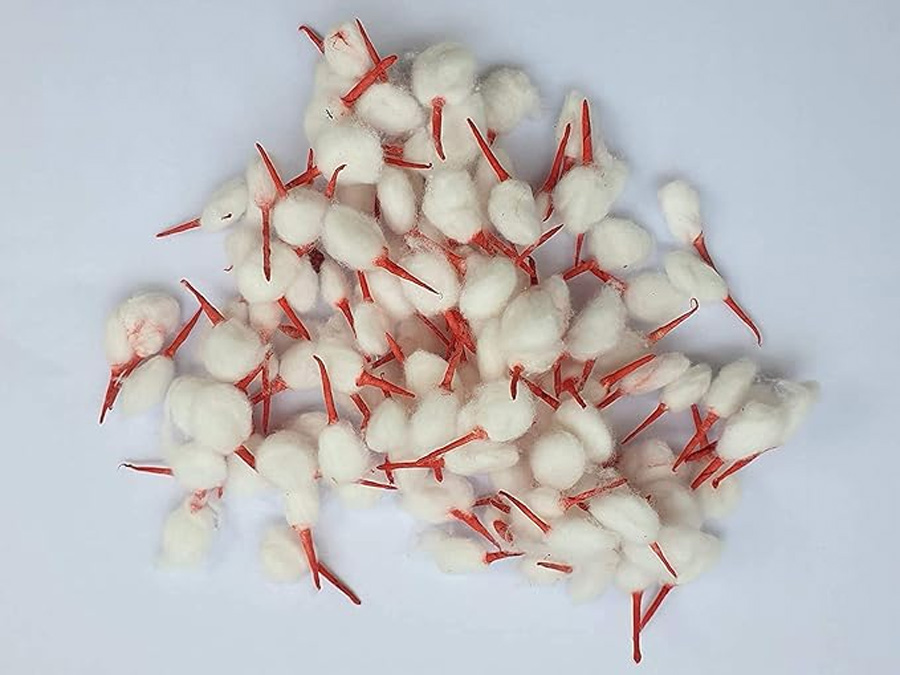 1 - 2026-02-18T130212.456