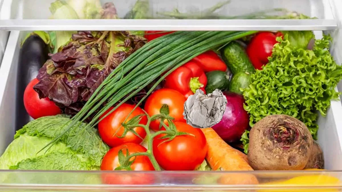 ways to remove the bad smell from the fridge