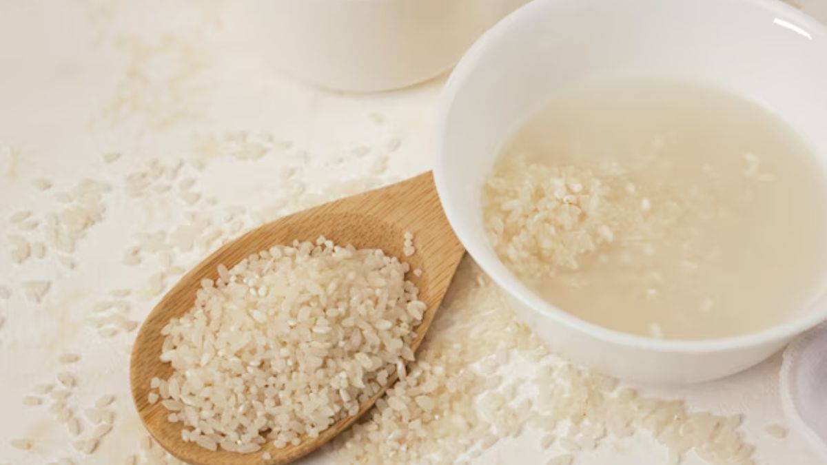 rice water for plants growth (1)