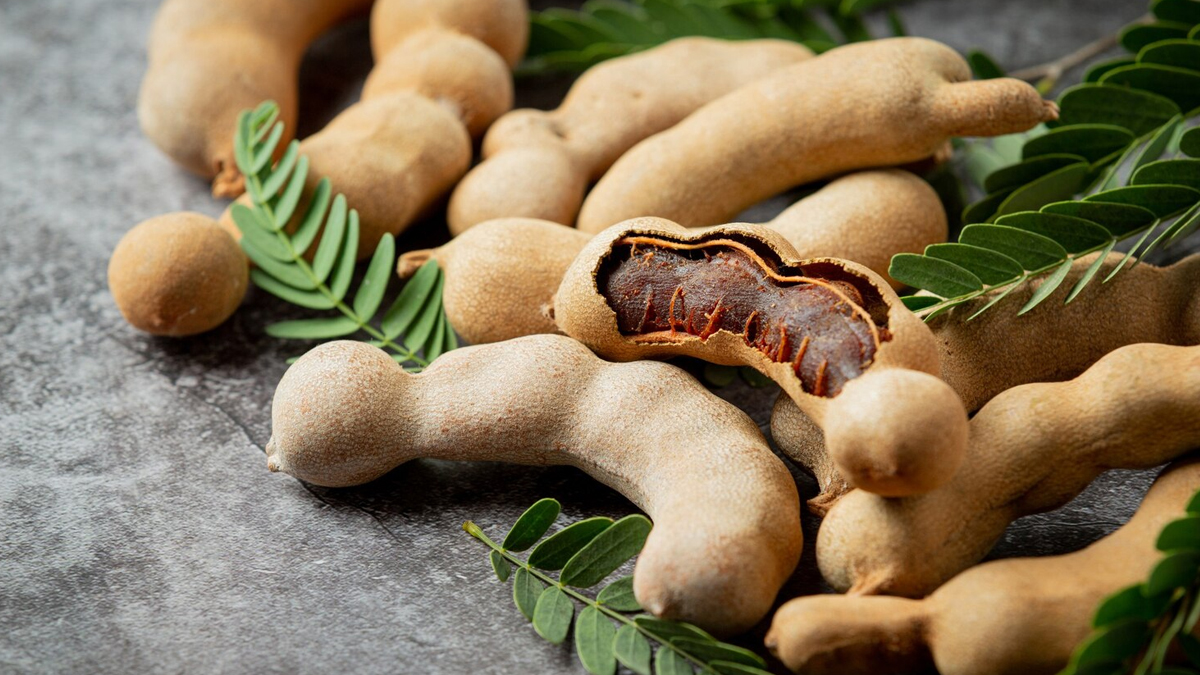 2 - 2026-02-20T140331.336