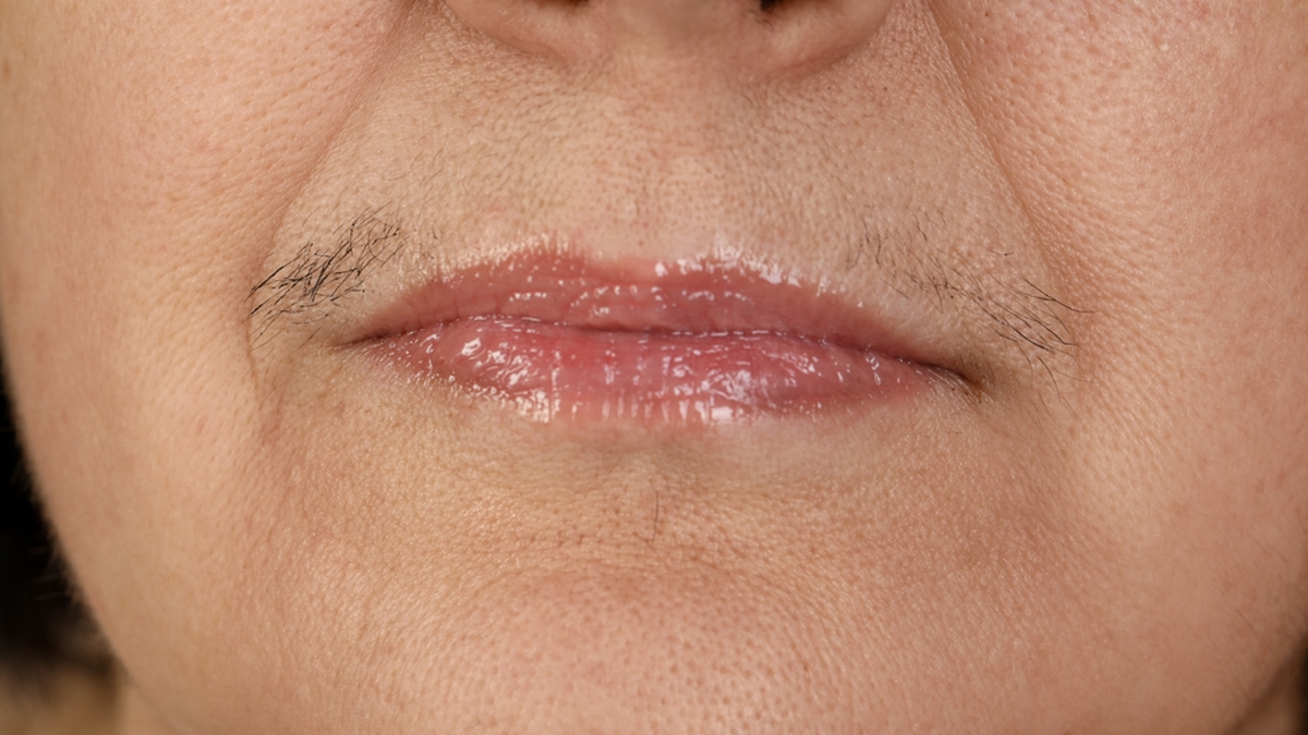 2 - 2026-02-20T144106.746