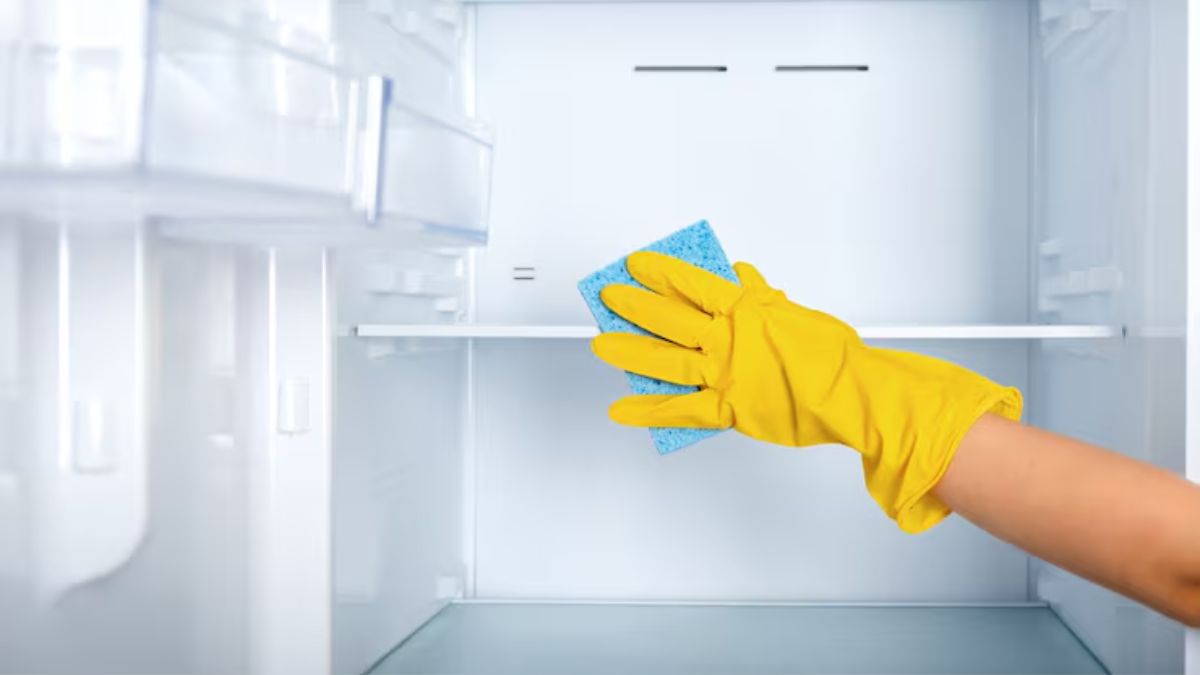 How to clean fridge tray (1)
