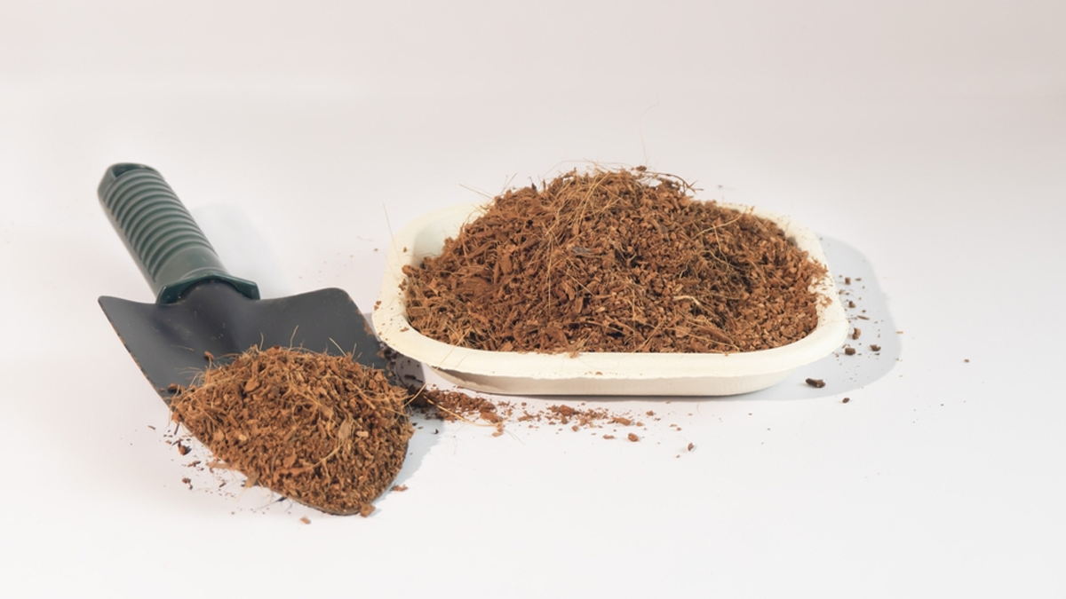 2 - 2026-02-23T131221.139