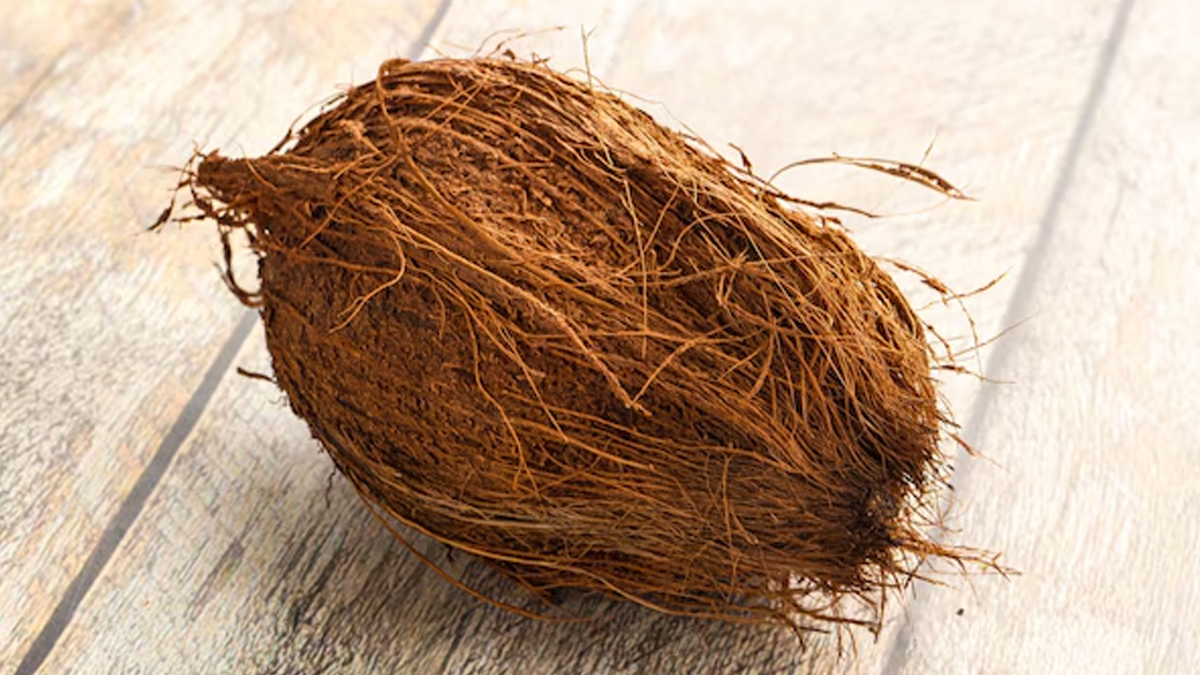 3 - 2026-02-23T131217.956