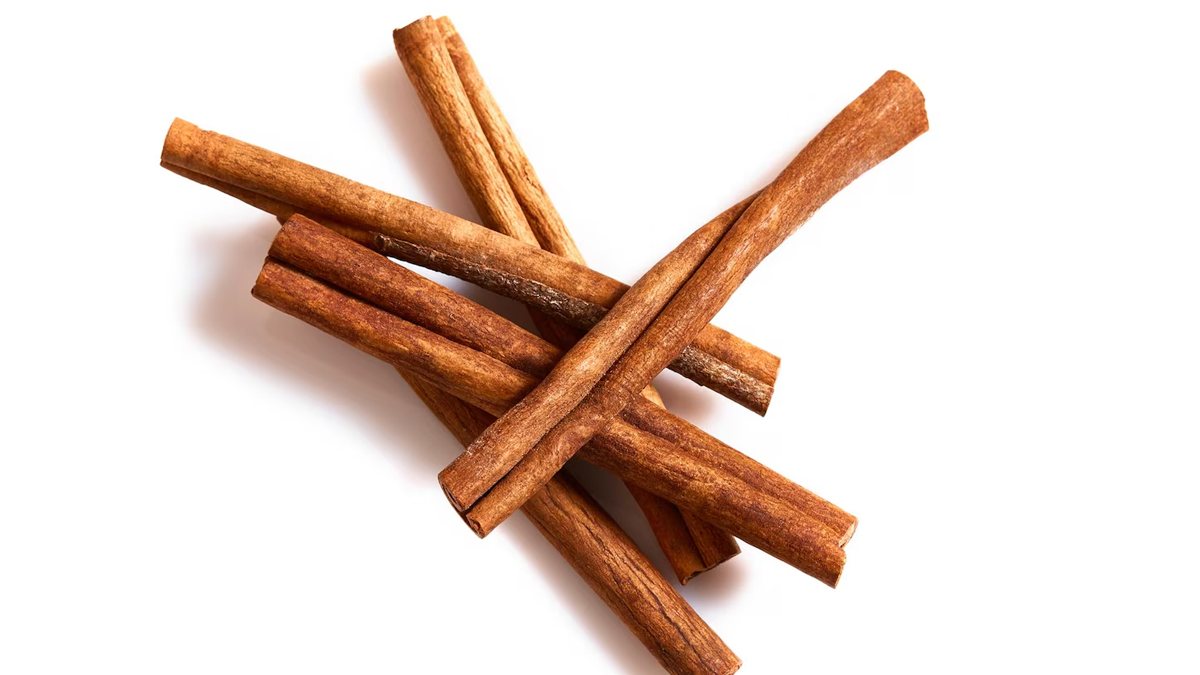 1 - 2026-02-24T113151.544