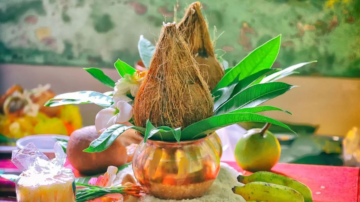 2 - 2026-02-24T113210.160