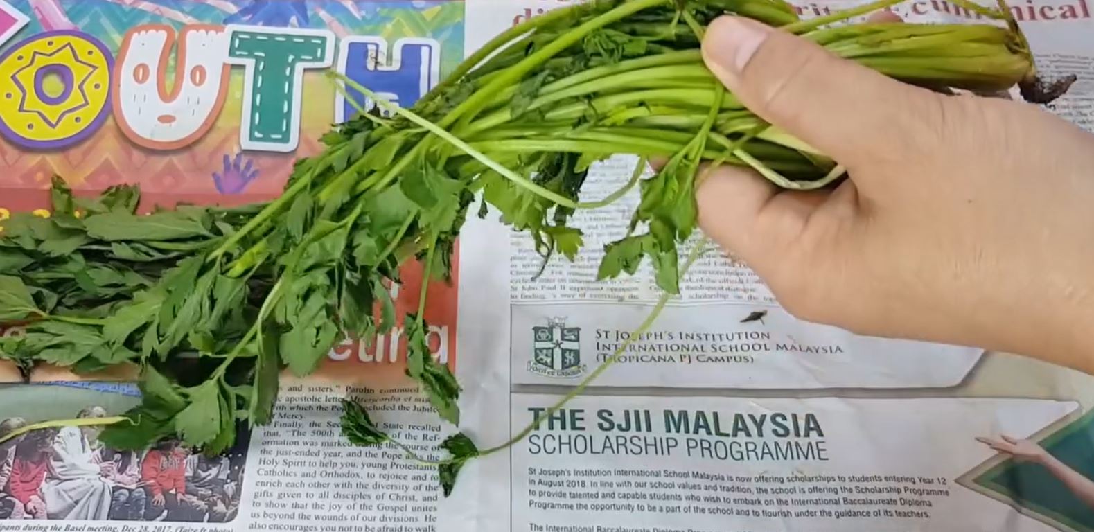 best tips to store vegetables at home