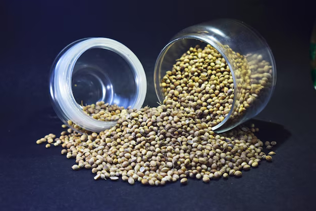 coriander seeds for safed pani