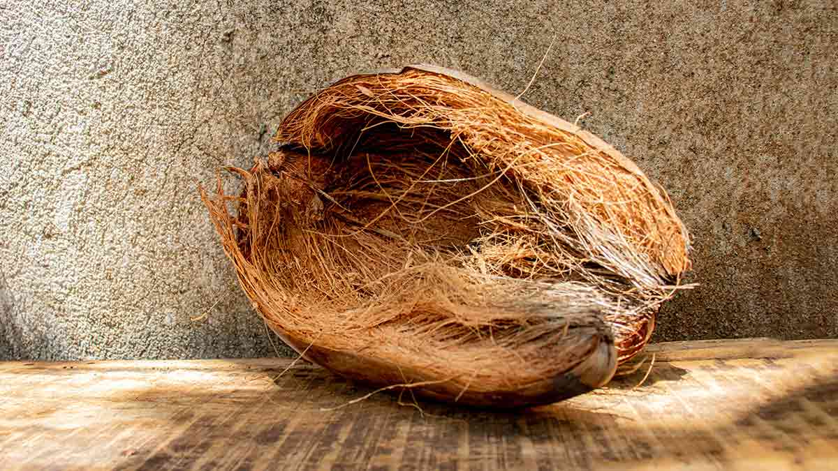 nariyal husk benefits for health