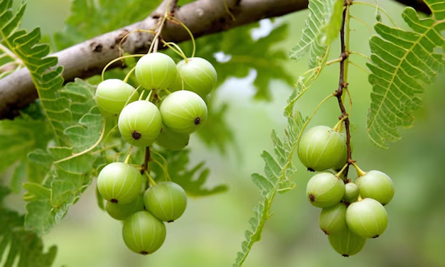 1 - 2026-02-25T151759.002