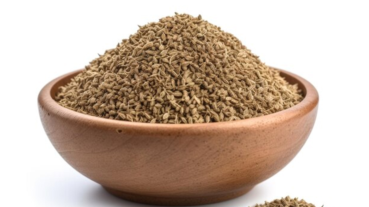 2 - 2026-02-25T124521.511