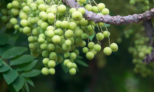 2 - 2026-02-25T151756.657