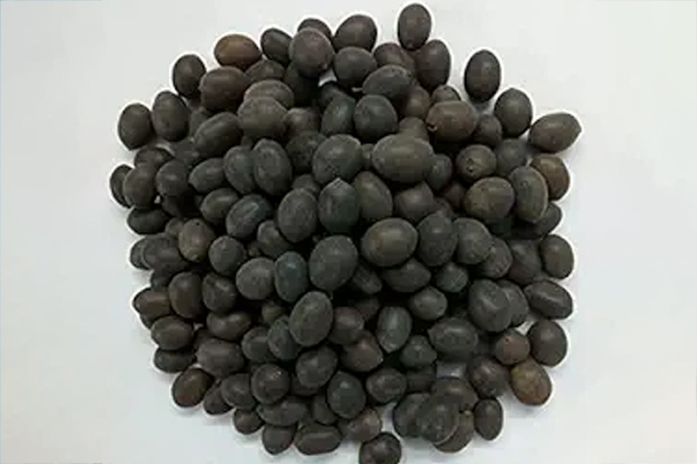 1 - 2026-02-26T134455.341