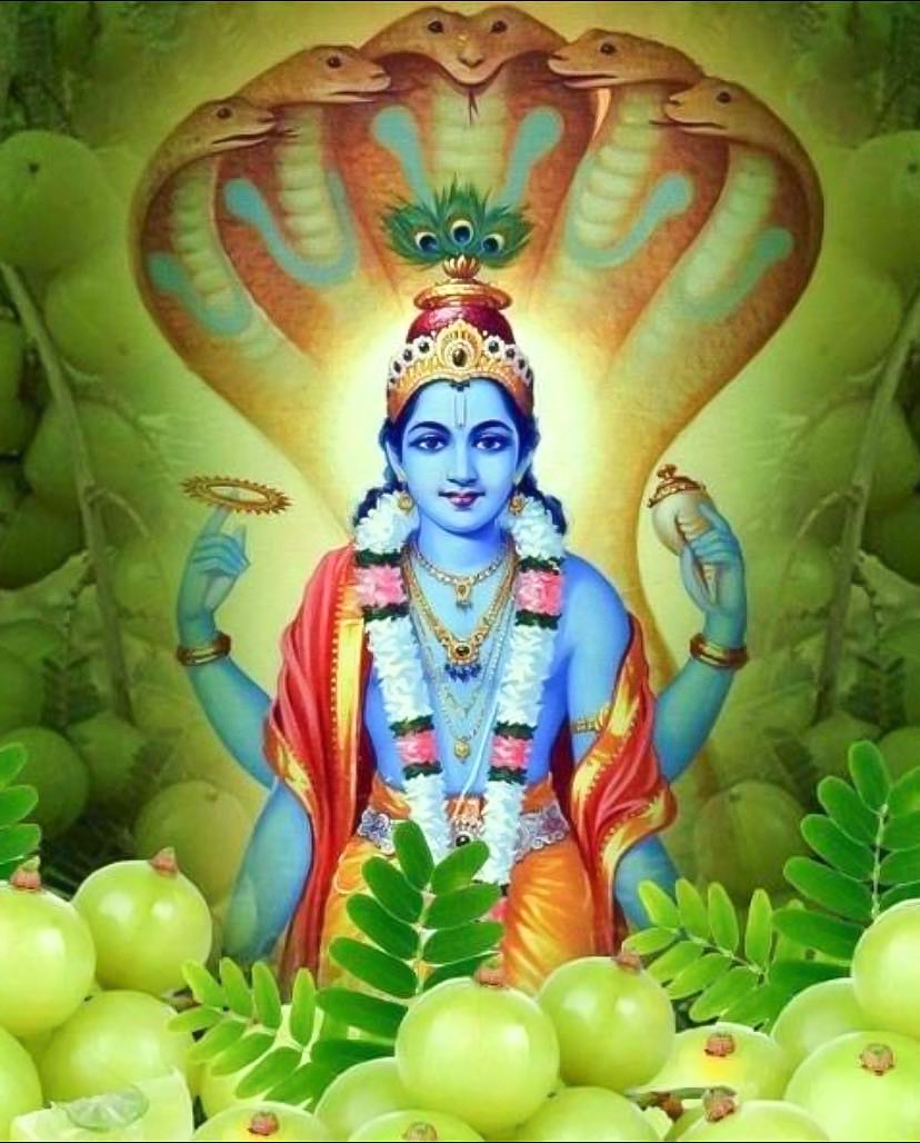 1 - 2026-02-26T134505.545