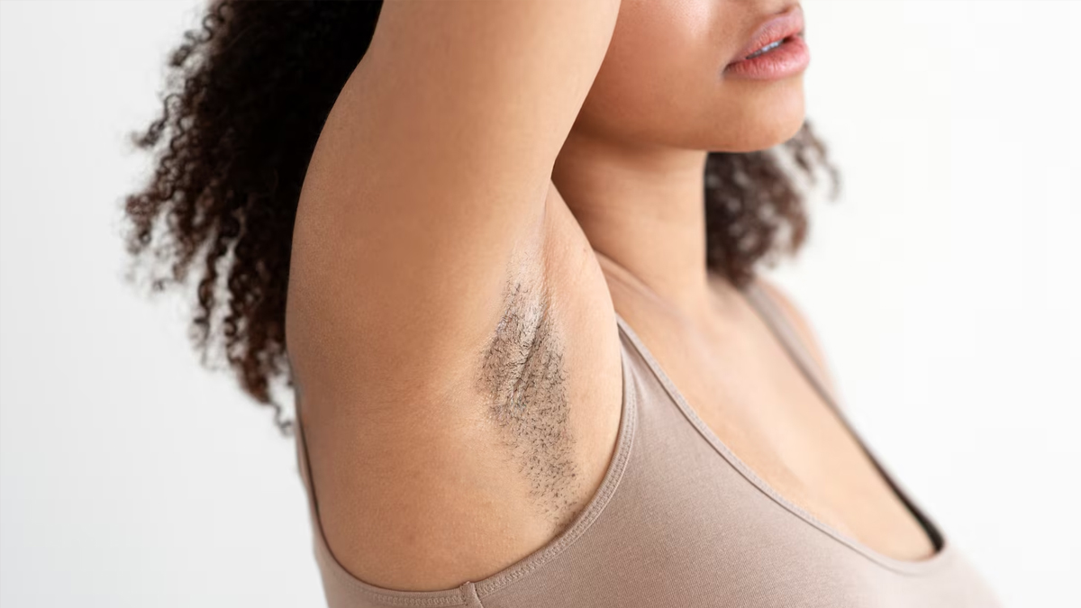 1 - 2026-02-26T163246.540