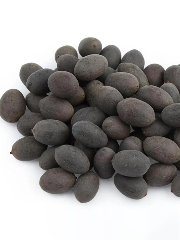 2 - 2026-02-26T134457.393