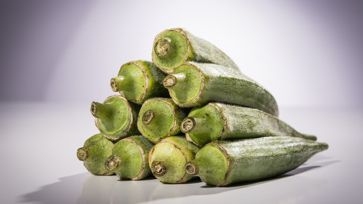 2 - 2026-02-26T163234.645