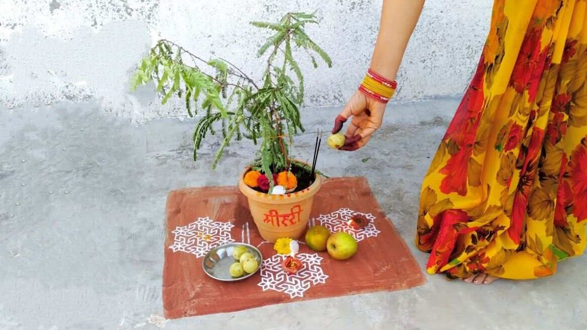 amalki ekdashi puja