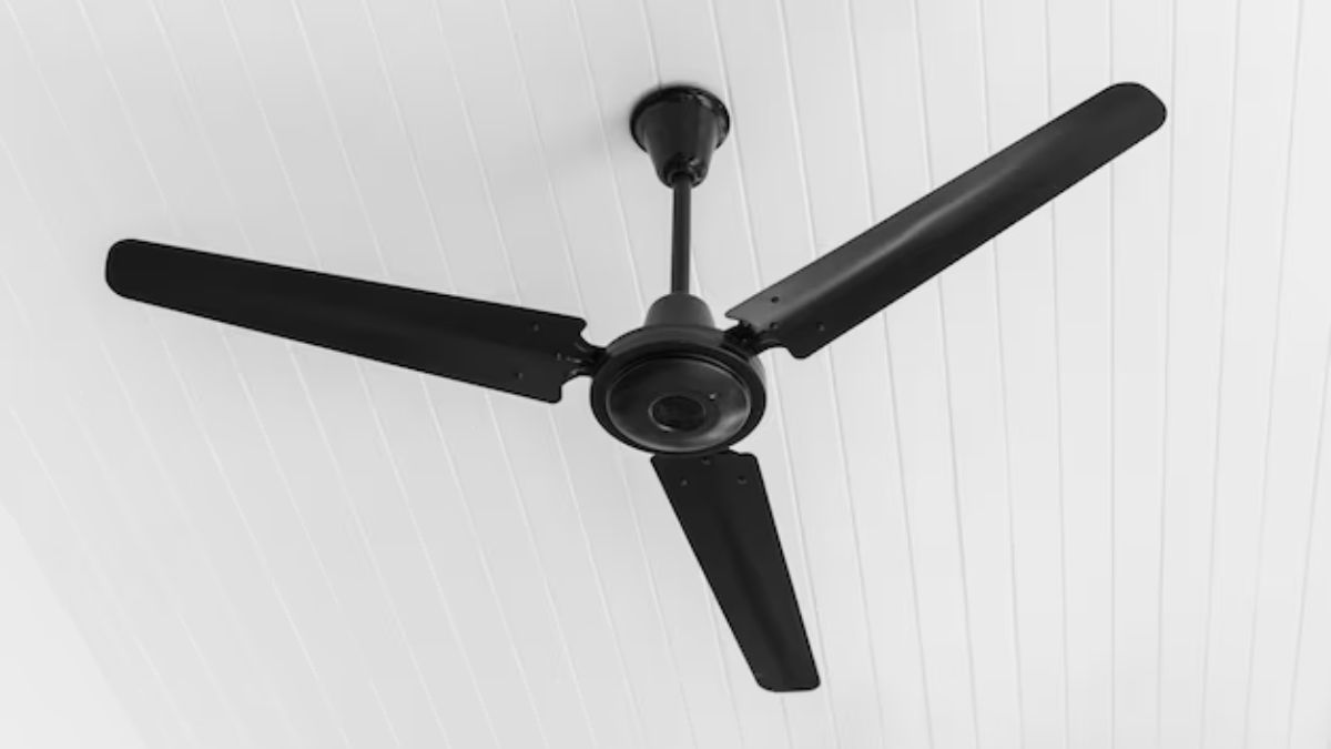 holi hair care tips (3)