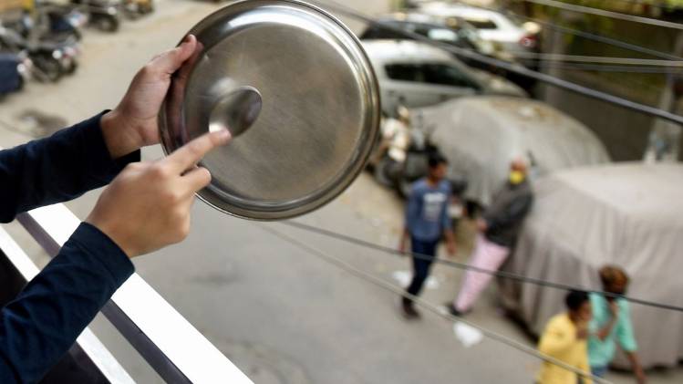 protecting plants from monkeys