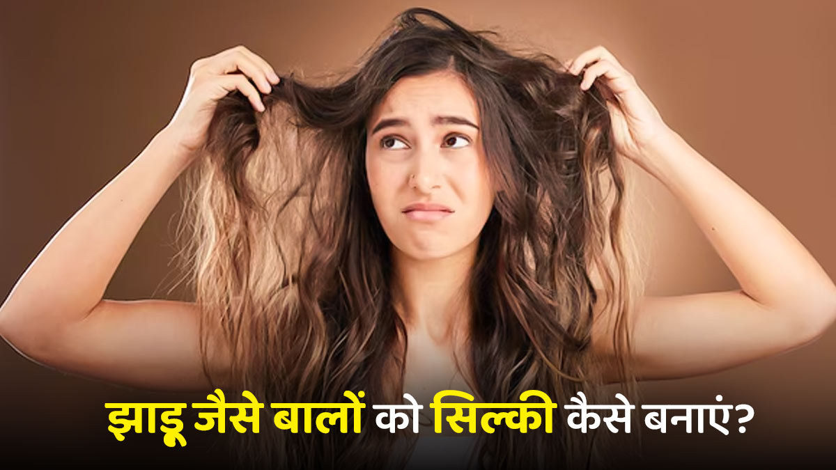 Homemade Conditioner: बाल झाडू जैसे हो गए हैं? लगाएं ये नेचुरल कंडीशनर