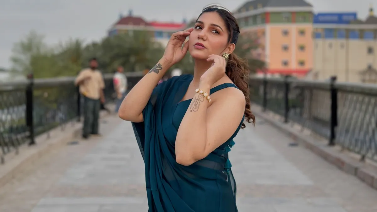 Sapna Choudhary sexual harassment live show