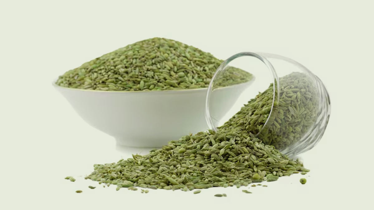 1 - 2026-03-03T123333.760