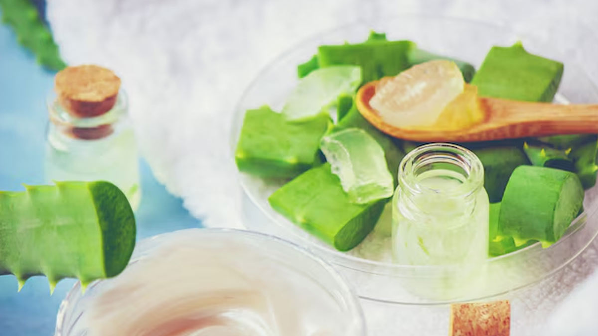 aloevera for dry and frizzy hair