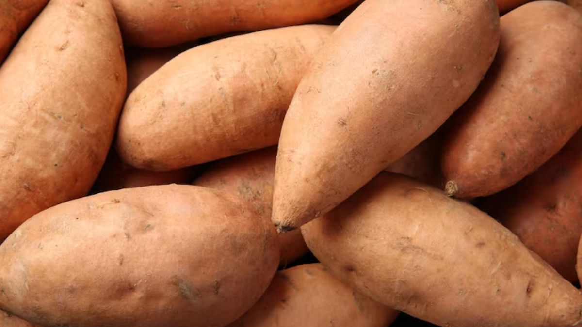sweet potato storage tips