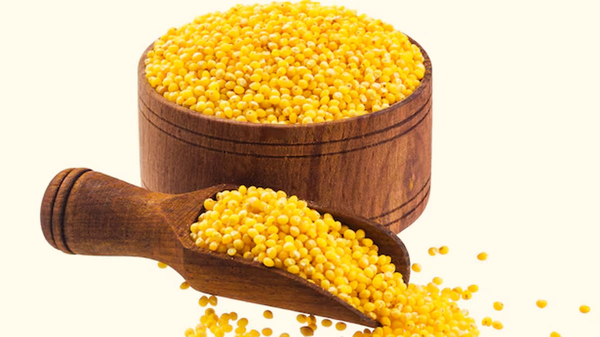 1 - 2026-03-05T131201.743