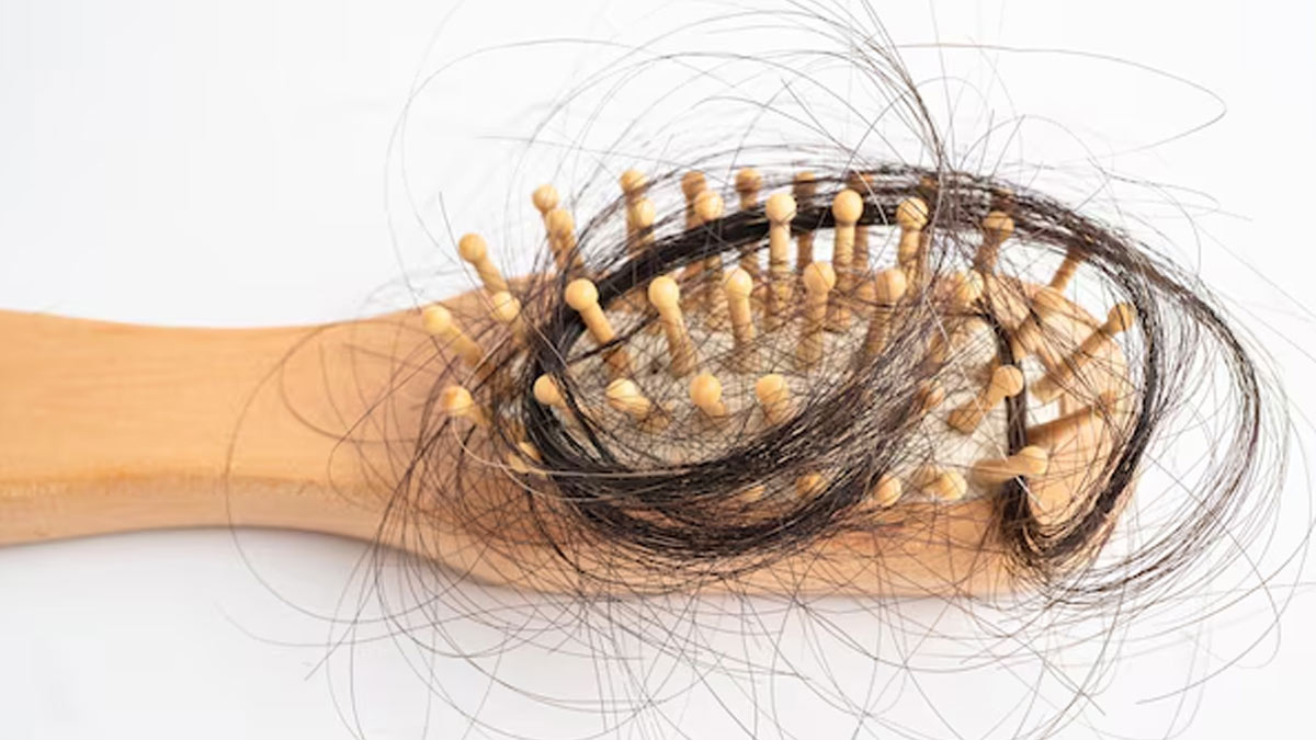 1 - 2026-03-05T142540.409