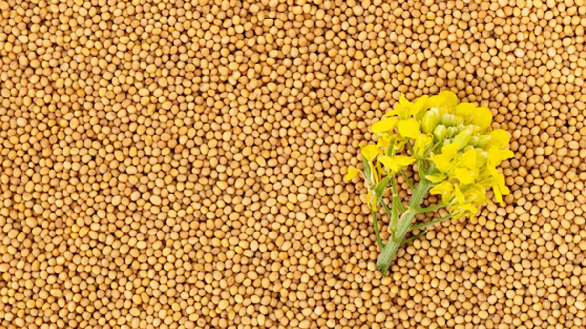 2 - 2026-03-05T131204.114