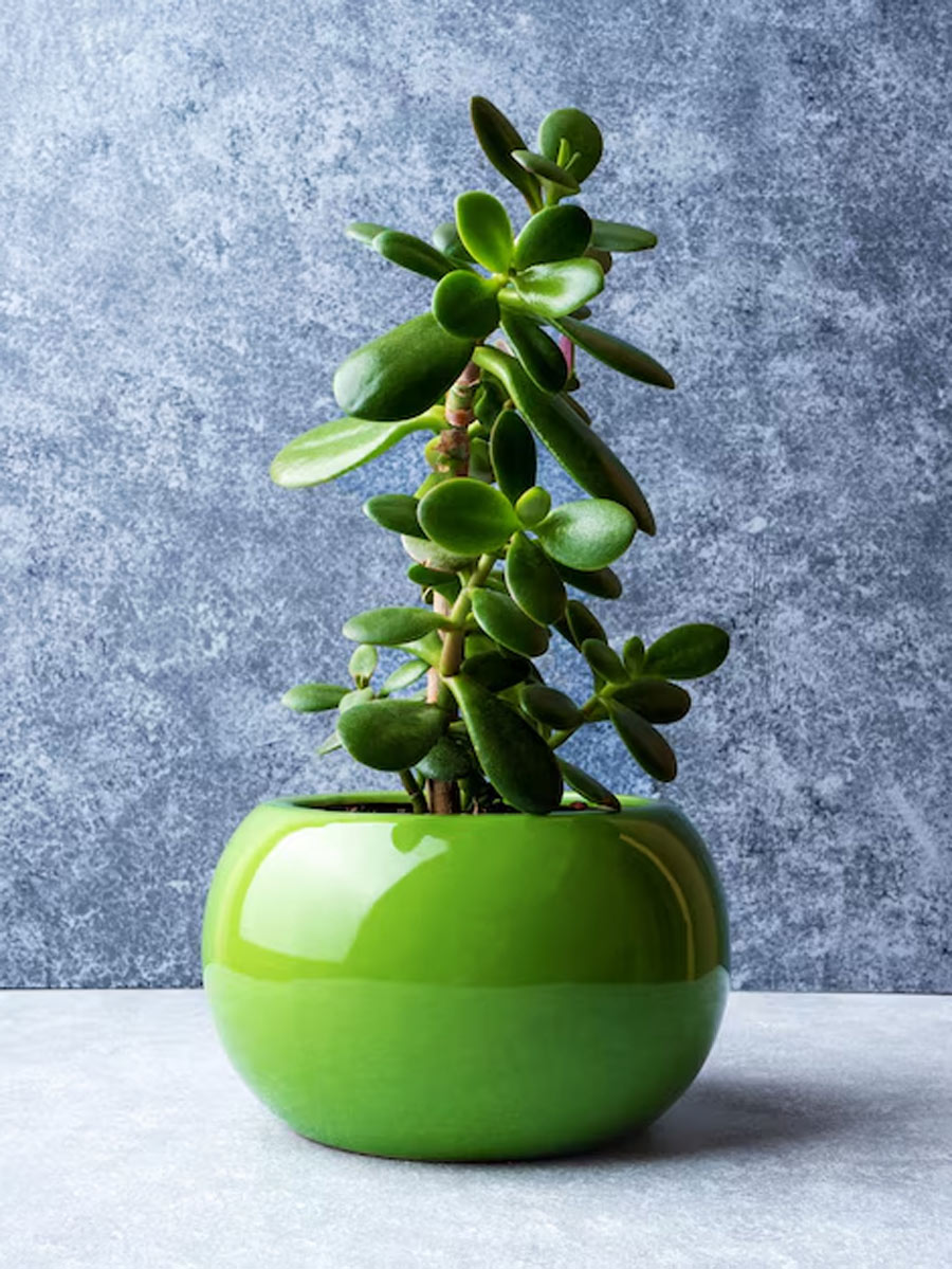 1 - 2026-03-06T134757.737