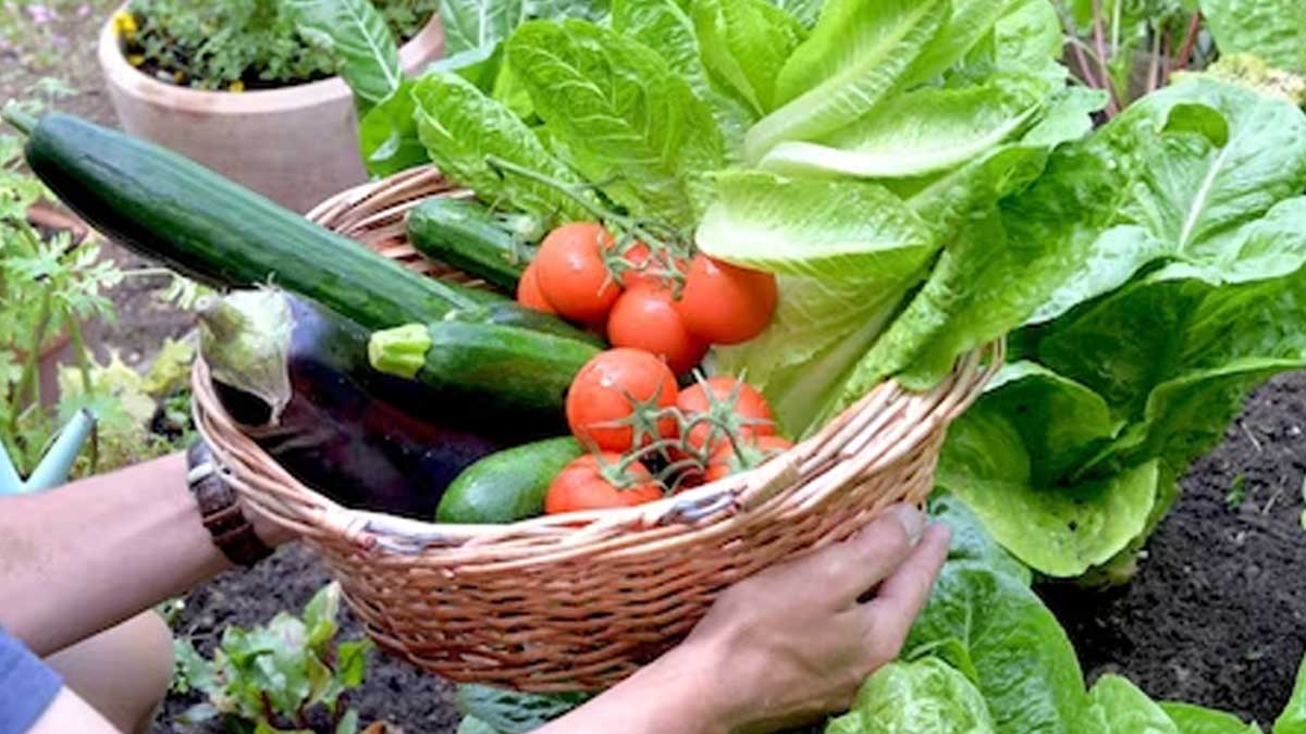 vegetable spoilage prevention